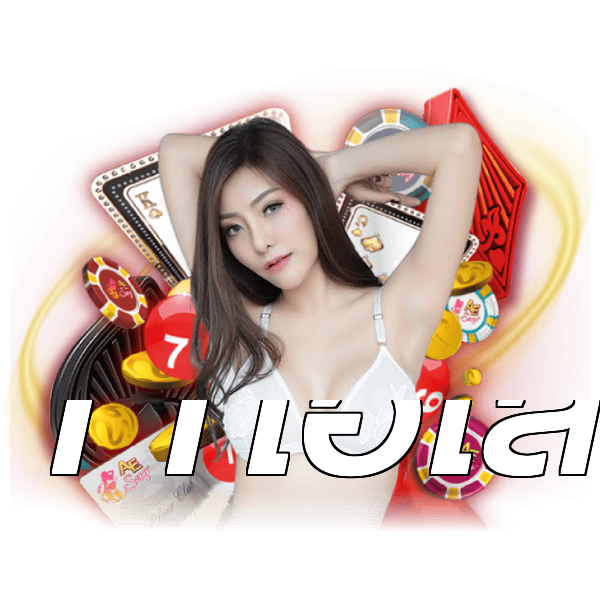 11ไฮโล